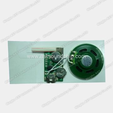 Greeting Cards Sound Chip, Slide Tongue Sound Module